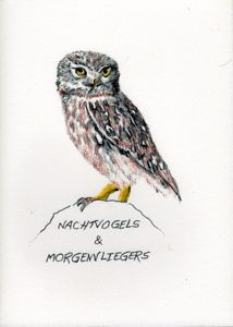 nahtvogels