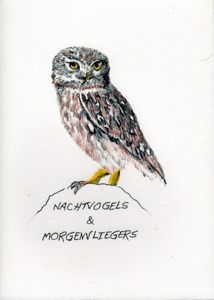 nahtvogels