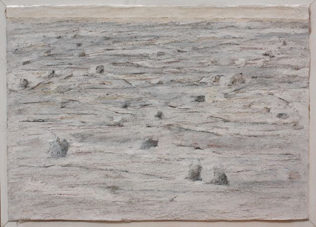 winterwaard 54x74  2017